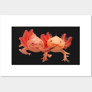 Cute Little Axolotl Pair Realistic Posters and Art